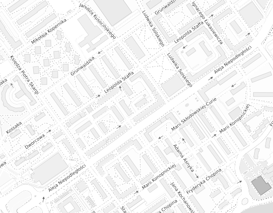 Mapa z adresem organizacji