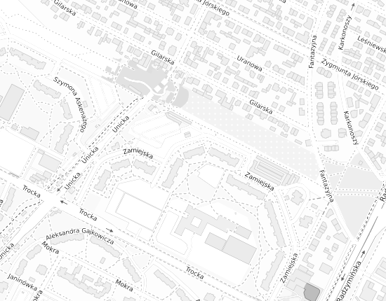 Mapa z adresem organizacji