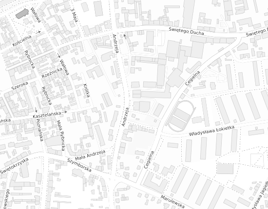 Mapa z adresem organizacji