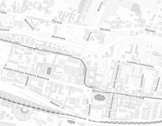 Mapa z adresem organizacji