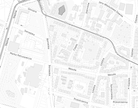 Mapa z adresem organizacji