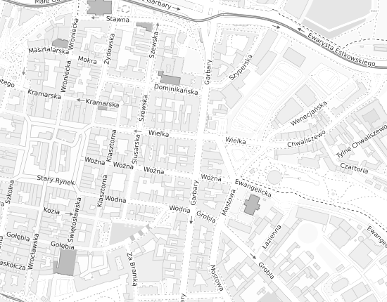Mapa z adresem organizacji