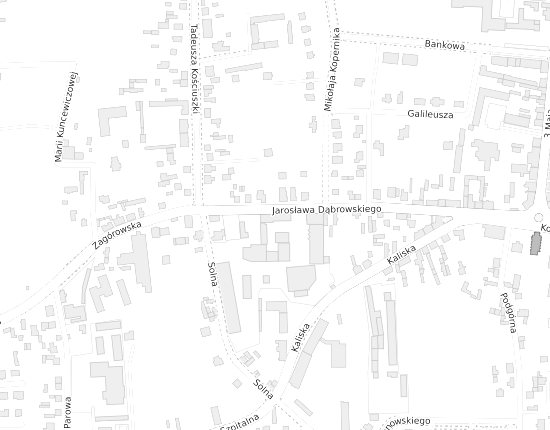 Mapa z adresem organizacji