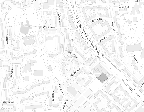 Mapa z adresem organizacji
