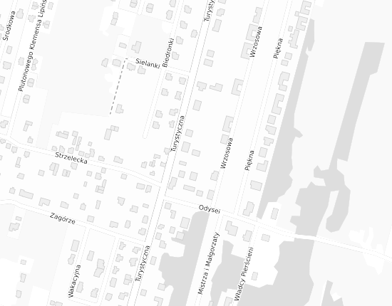 Mapa z adresem organizacji