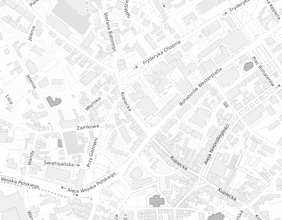 Mapa z adresem organizacji