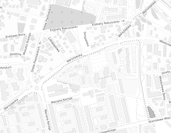 Mapa z adresem organizacji