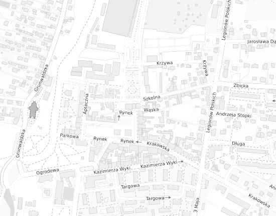 Mapa z adresem organizacji