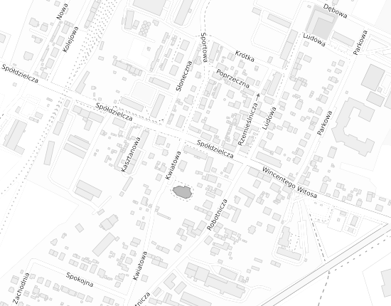 Mapa z adresem organizacji