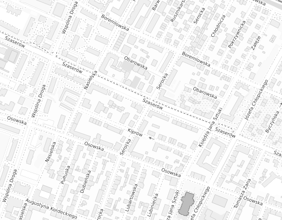 Mapa z adresem organizacji