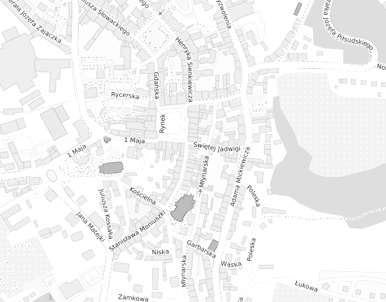 Mapa z adresem organizacji