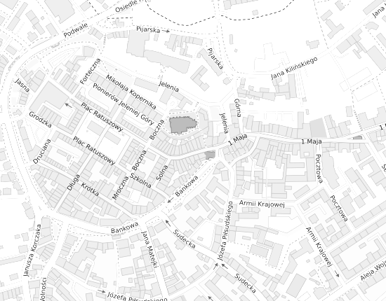 Mapa z adresem organizacji