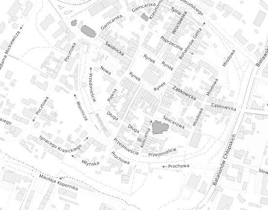 Mapa z adresem organizacji