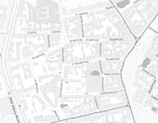 Mapa z adresem organizacji