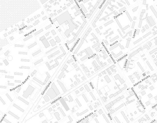Mapa z adresem organizacji