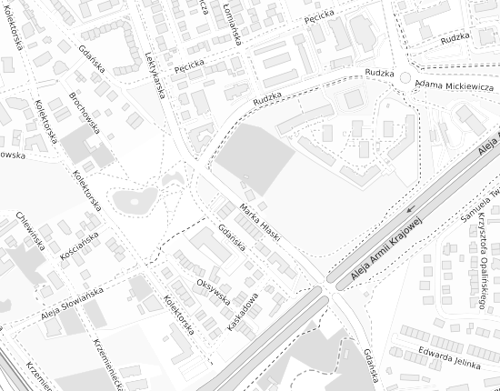Mapa z adresem organizacji
