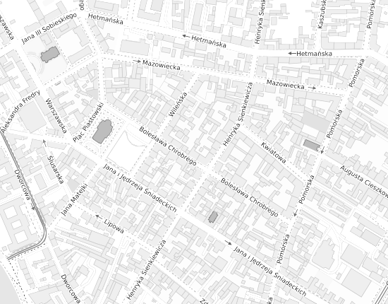 Mapa z adresem organizacji