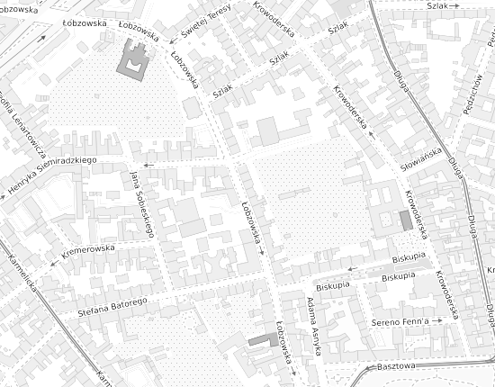 Mapa z adresem organizacji