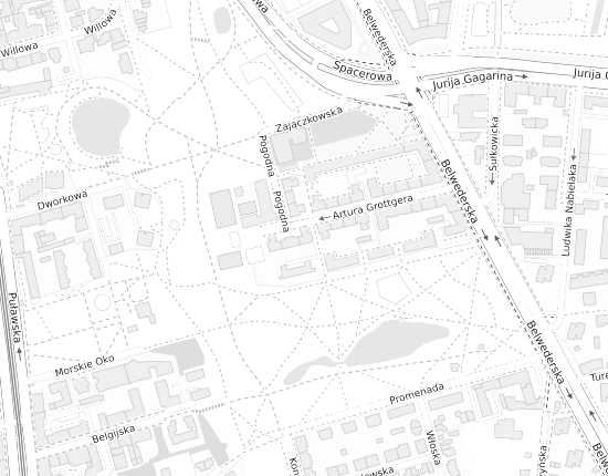 Mapa z adresem organizacji