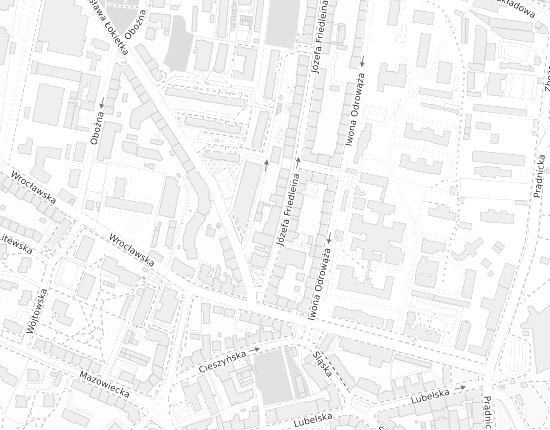 Mapa z adresem organizacji