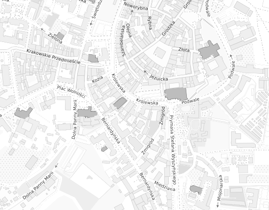 Mapa z adresem organizacji