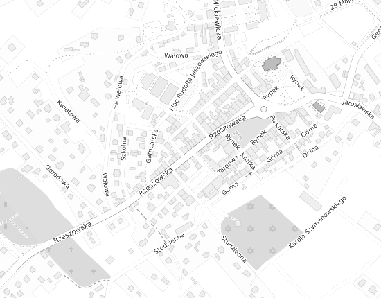 Mapa z adresem organizacji