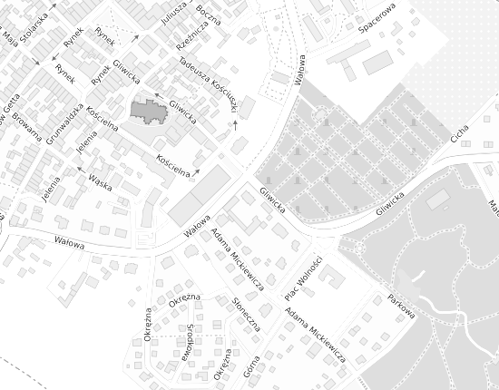 Mapa z adresem organizacji