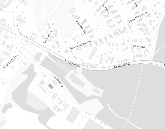 Mapa z adresem organizacji