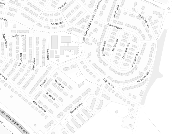 Mapa z adresem organizacji