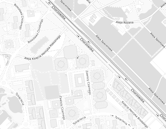 Mapa z adresem organizacji
