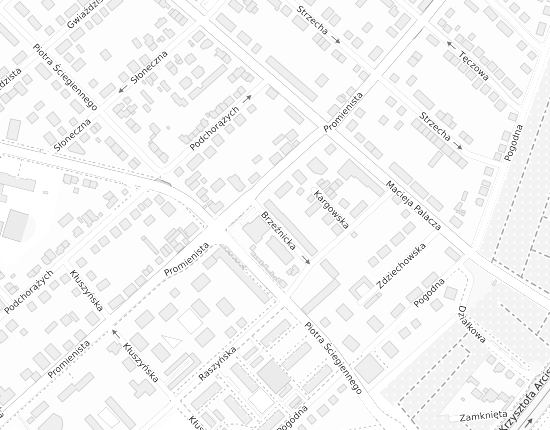 Mapa z adresem organizacji
