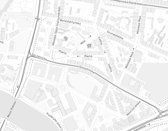 Mapa z adresem organizacji