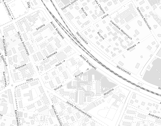 Mapa z adresem organizacji