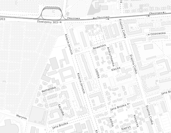 Mapa z adresem organizacji