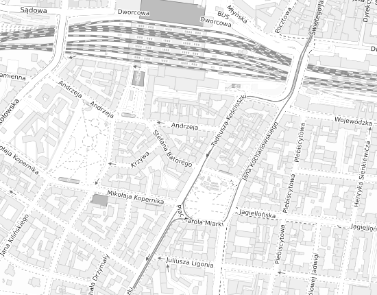 Mapa z adresem organizacji