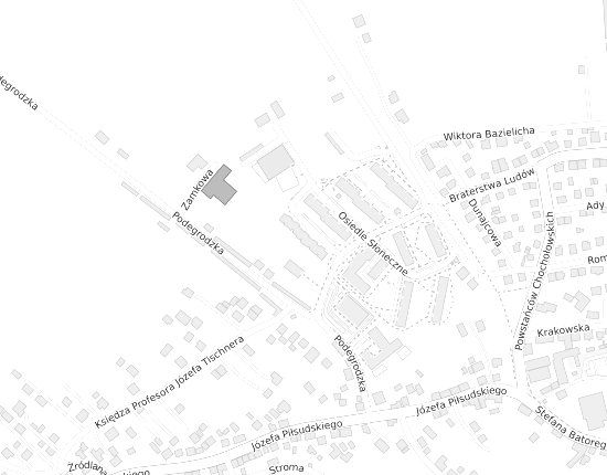 Mapa z adresem organizacji