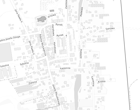 Mapa z adresem organizacji
