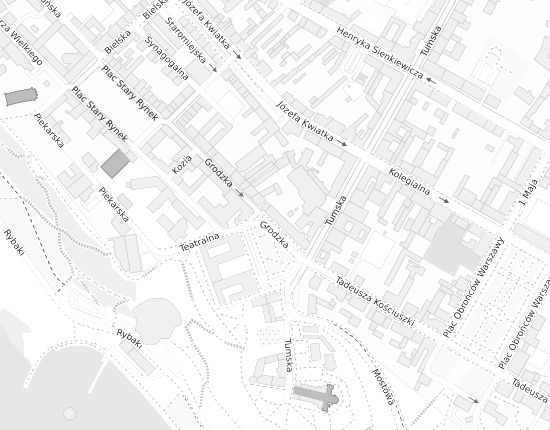 Mapa z adresem organizacji