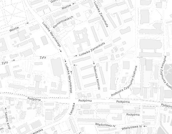 Mapa z adresem organizacji