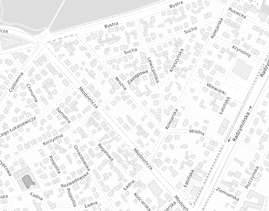 Mapa z adresem organizacji