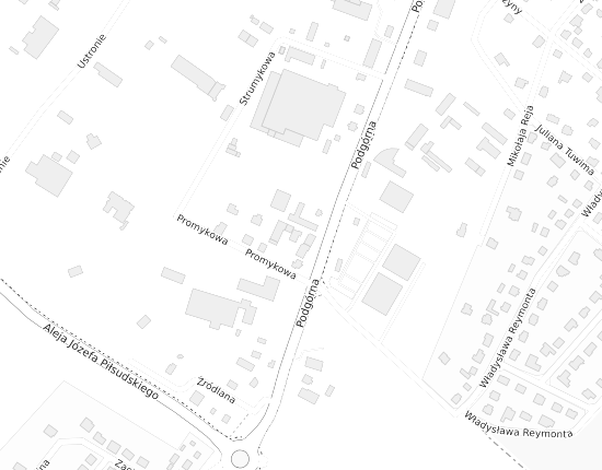 Mapa z adresem organizacji