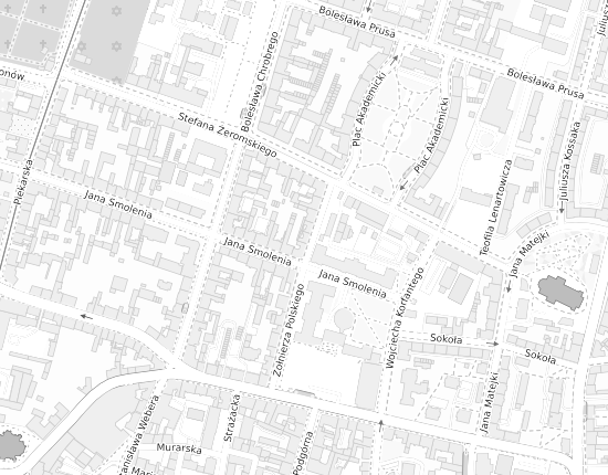 Mapa z adresem organizacji