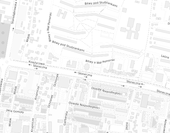 Mapa z adresem organizacji