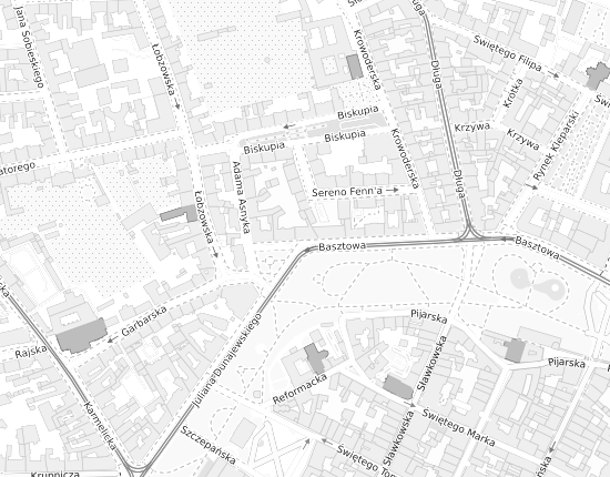 Mapa z adresem organizacji