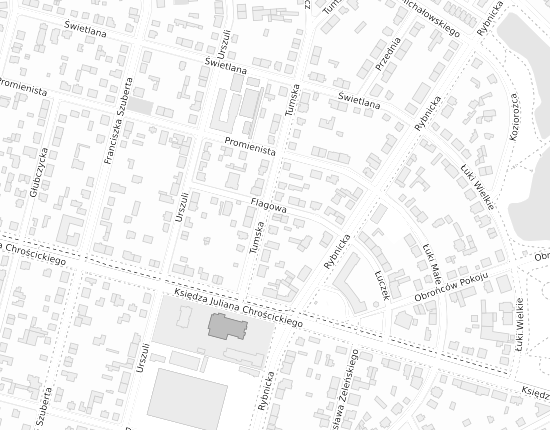 Mapa z adresem organizacji