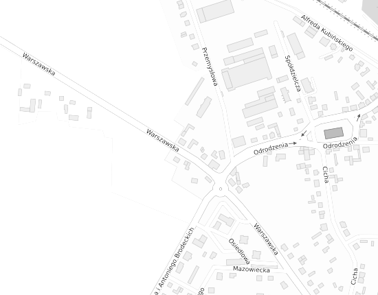 Mapa z adresem organizacji