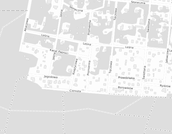 Mapa z adresem organizacji