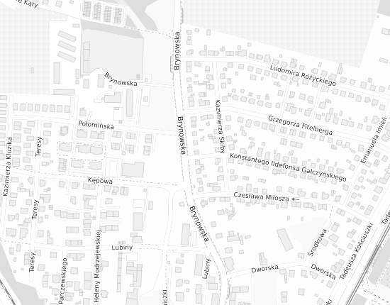 Mapa z adresem organizacji