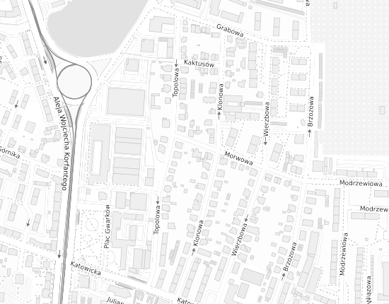 Mapa z adresem organizacji
