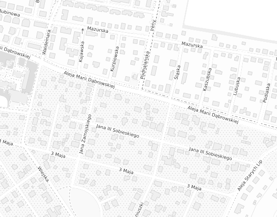 Mapa z adresem organizacji